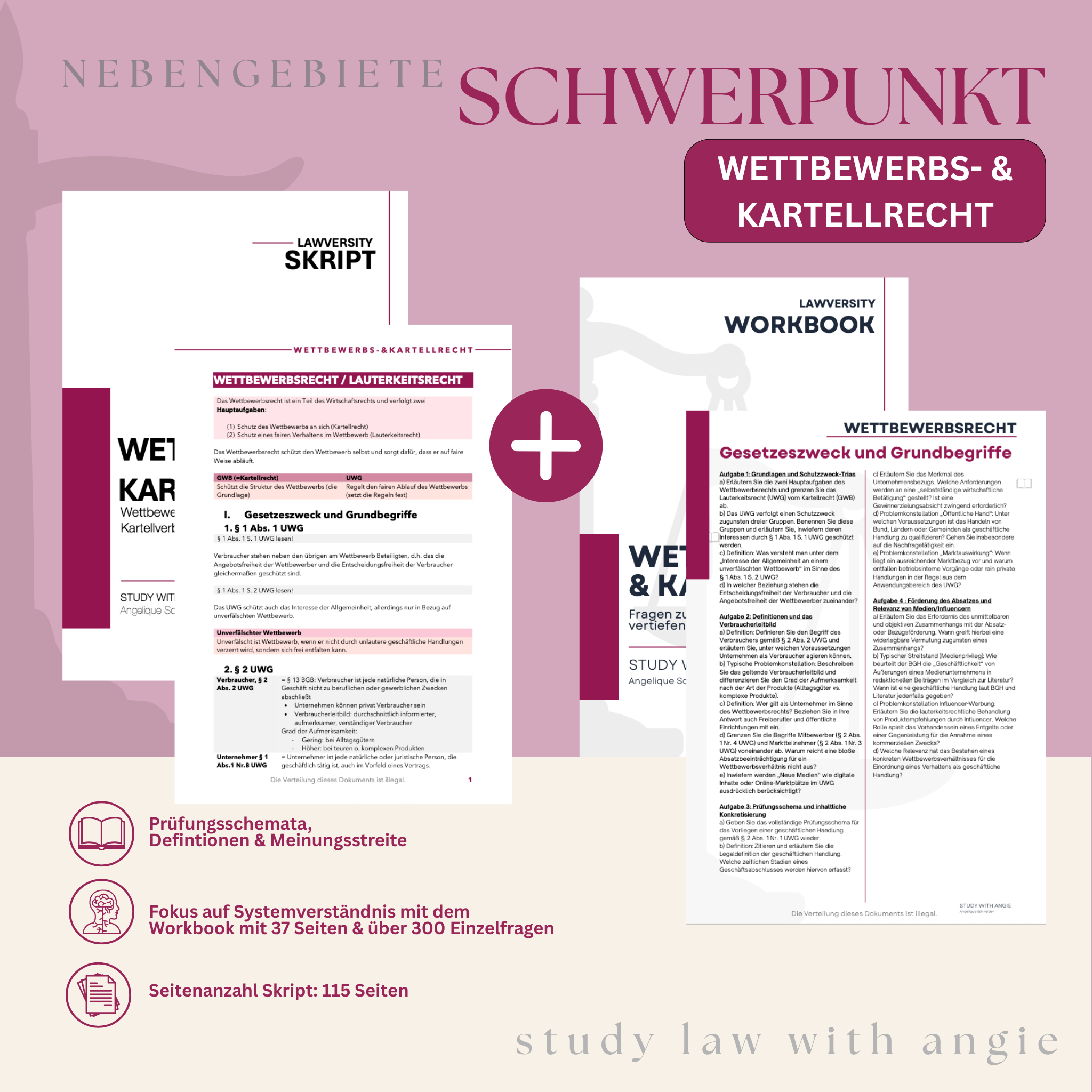 SCHWERPUNKT - Study law with Angie