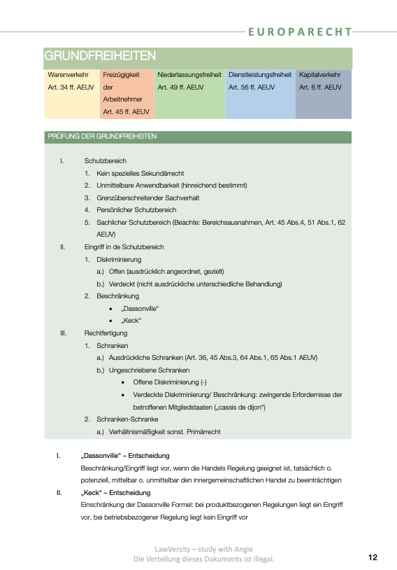 Europarecht - Skript - Study law with Angie