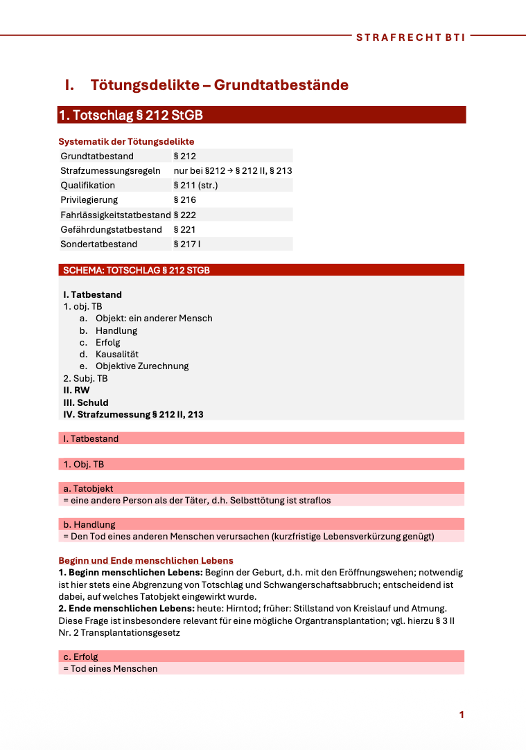 Strafrecht - Skript - Bundle - Study law with Angie