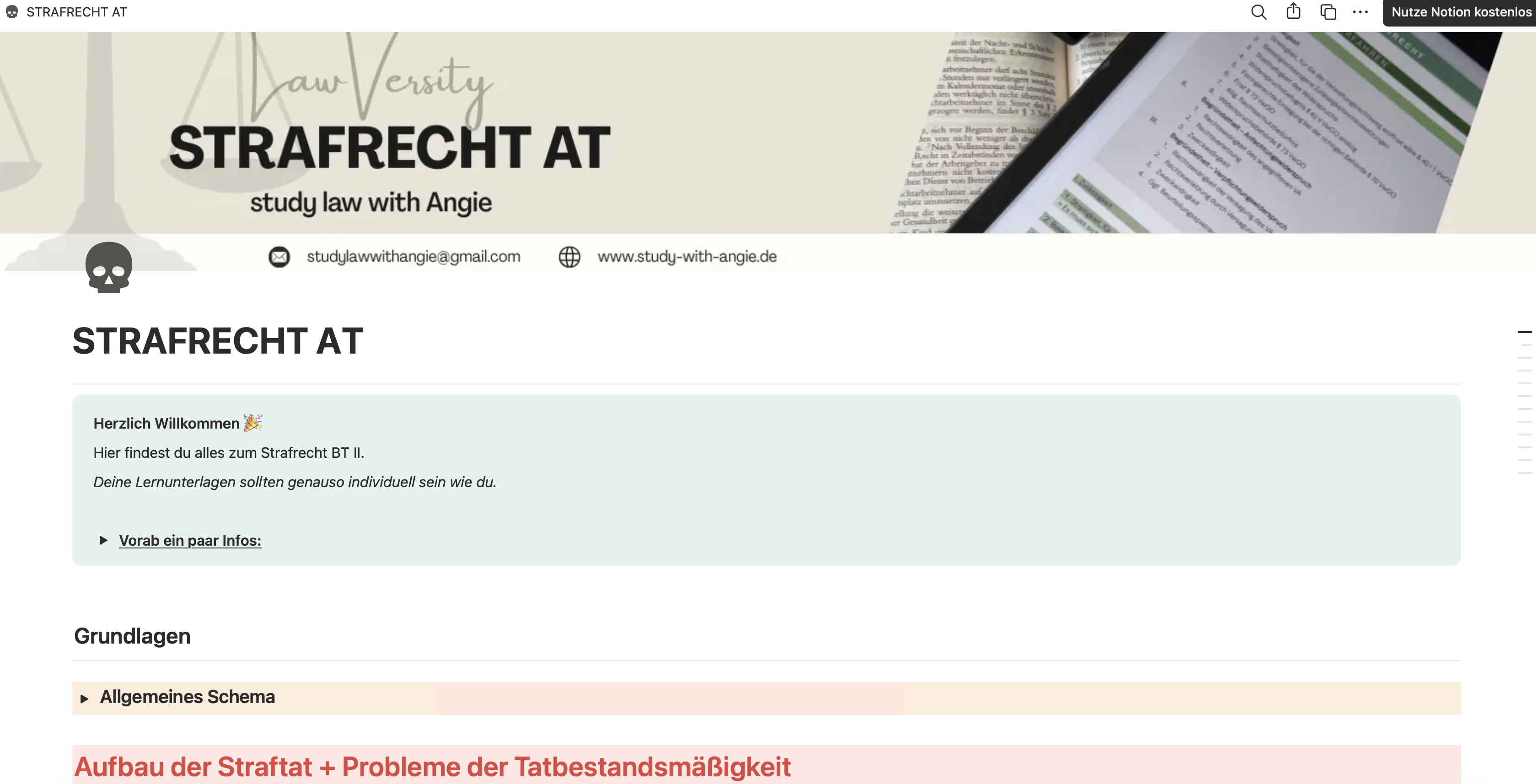 Strafrecht AT - LERNEN MIT NOTION - Study law with Angie
